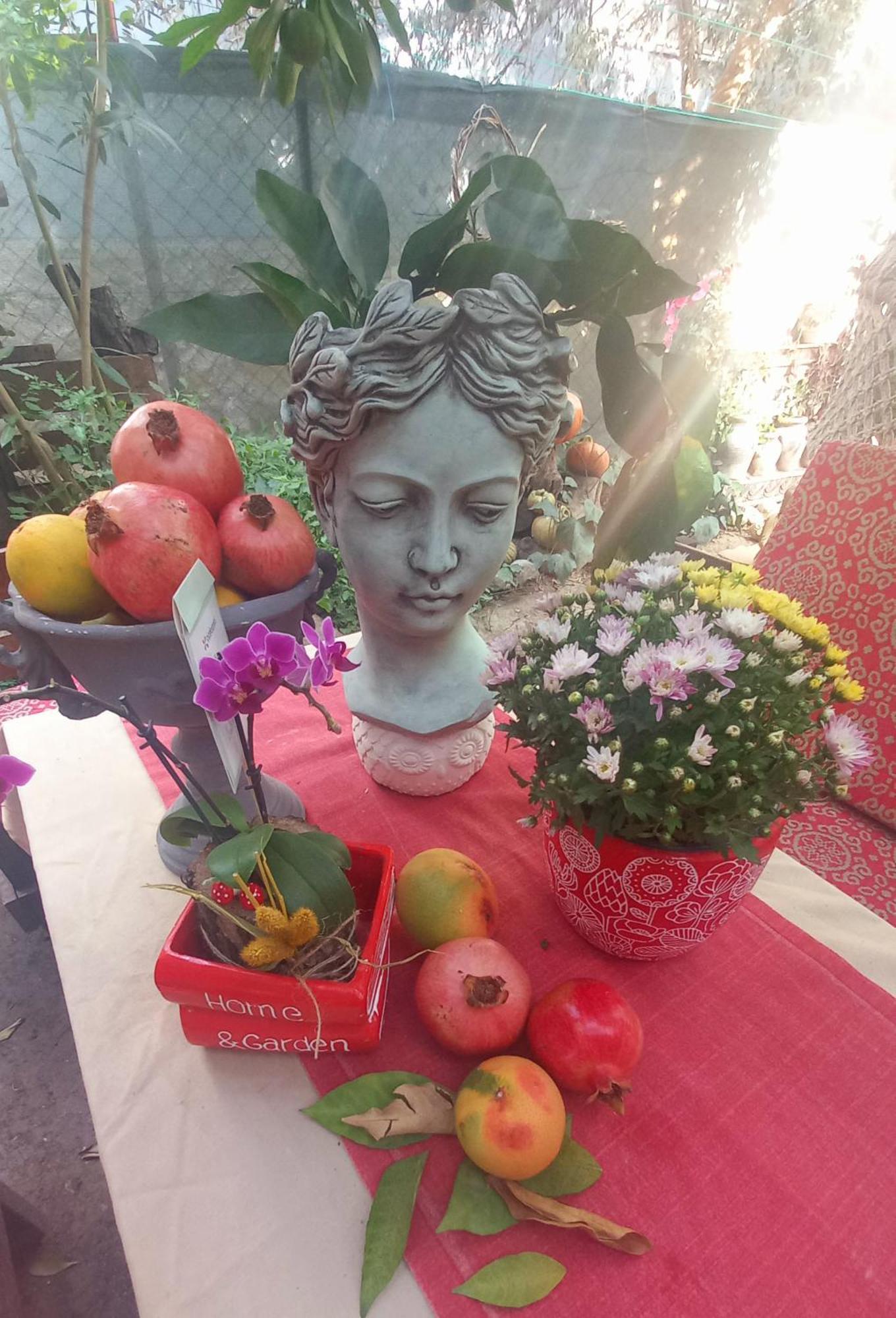 안탈리아 Demeter Rose Stonehouse Pansion 아파트 외부 사진